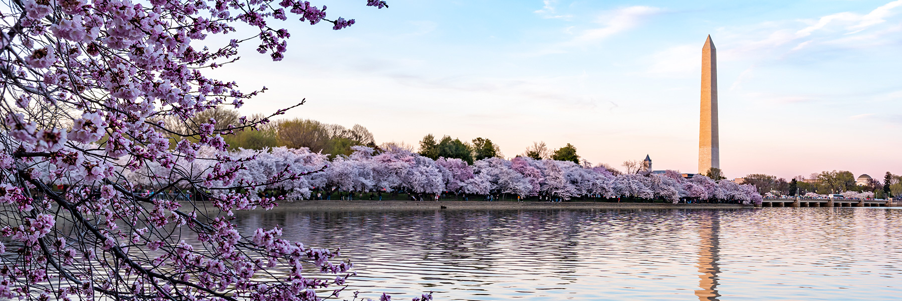 College Park, Maryland | Cambria Hotel College Park